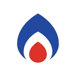Boilerparts логотип