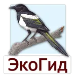 ЭкоГид: Птицы и голоса логотип